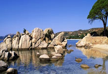 春风阁，深圳休闲胜地，畅游美好时光